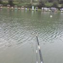 양사낚시터 이미지