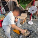 세븐일레븐 양평양일점 | 양평 힐링 계곡 오토캠핑장에서 두번째 캠핑한 후기