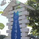 일곱번째 고양이 펜션 이미지