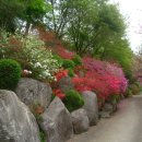 꿈에궁전 이미지