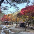 소백산국립공원 남천야영장 이미지