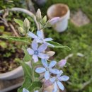 비야 제발 살살와라~~ 이미지