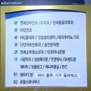 다인안과의원 네이버블로그