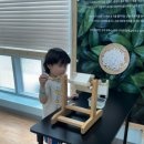 제비어린이공원 | 🐞 [시흥 아이와 가볼만한 곳] 벅스리움 후기!7살 아들과 곤충 체험! 에그박사 덕후 완전 추천