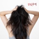 리버스케어