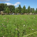 한강시민공원(파고라 쉼터) 이미지