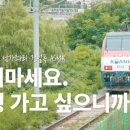 박물관로 이미지