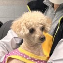 호스텔 온기 이미지