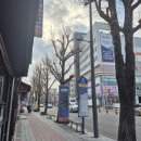 진성오리촌 이미지