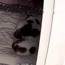 또오옥 이미지