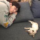 육이 이미지
