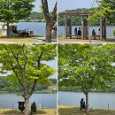 충주농협 중앙탑지점 | 충북 가볼 만한 곳 충주 중앙탑 사적 공원 충주 박물관 가족여행지 추천