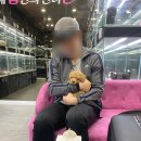 내 품안의 반려견(강서점) 네이버블로그