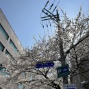 세븐일레븐 당인동점 이미지