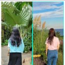 사하구-40 이미지