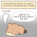 광진구심리상담, 소유온심리상담연구소 성인 TCI 후기