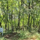 군자성황사지 이미지