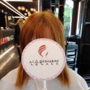 신승원컷앤컷홍대붙임머리 이미지