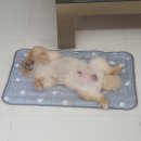 두산1차아파트남자경로당 | W5. 내집마련기2(+일상기록을 곁드린)