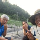 천연구소