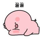 하루쿠키하나 이미지