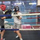 골든보이복싱체육관 이미지