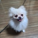 살롱드하츠