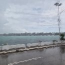 전의재래시장 | 여행 🥭 - 4. 팡라오 시내투어 / 성어거스틴 성당(팡라오 성당) / 사왕재래시장 / 할로망고 / Gerry's Grill