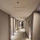 퍼플 315 이미지