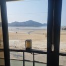 조개회먹는날 이미지