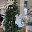 리풀 | 화이트 크리스마스트리가 있는 유성 감성 카페 Leafful 리풀 내돈내산 후기