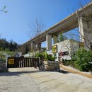 구자 오산1농장 | 강릉 아이와 가볼만한곳 대관령 아기동물농장 행복한 강릉동물원