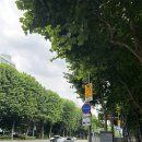 마들역 5번출구 이미지