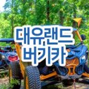 대유카 이미지