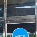 솜렌트카 이미지