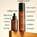 피부미인인셀덤 이미지