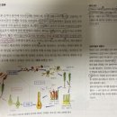 이끼는 무성생식과 유성생식을 번갈아한다?!(이끼는 왜 식물인가요?) 이미지