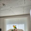 김성준 | [W20]루미에 스튜디오 김성준 작가님 촬영한 후기