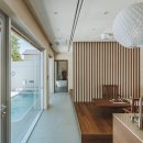 시기공추 이미지