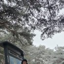 해파랑길 35코스 바우길 09구간 이미지