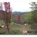 상춘농장 이미지