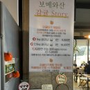 보메와산 | 제주 동쪽 귤따기 체험 보메와산 귤따기(10월 말 체험한 후기)