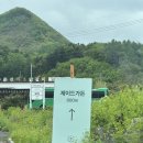 춘천시청(춘천시 환경공원) | [춘천] 춘천 가볼만한 곳 추천, 정원 산책, 입장료 주차 포토존 정보, 5월에 다녀온 후기 | 제이드가든