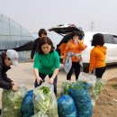 기운찬하우스 이미지