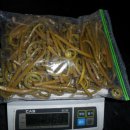 제주도 고비 이미지