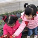 리안이네농장 이미지