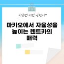 바울주유소 | 마카오에서 자율성을 높이는 렌트카의 매력