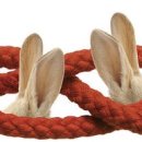 365바로한의원 이미지