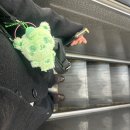 와이지로드(주) | 25/11/01엔시티위시 중콘[INTO THE WISH : Our WISH]