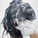 매일더맥주 | 탈모샴푸추천 마이에이치랩 더마크프 샴푸 맥주효모샴푸 후기